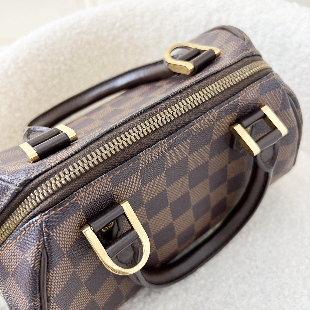 LV Mini Ribera Handbag in Damier Ebene Canvas and GHW