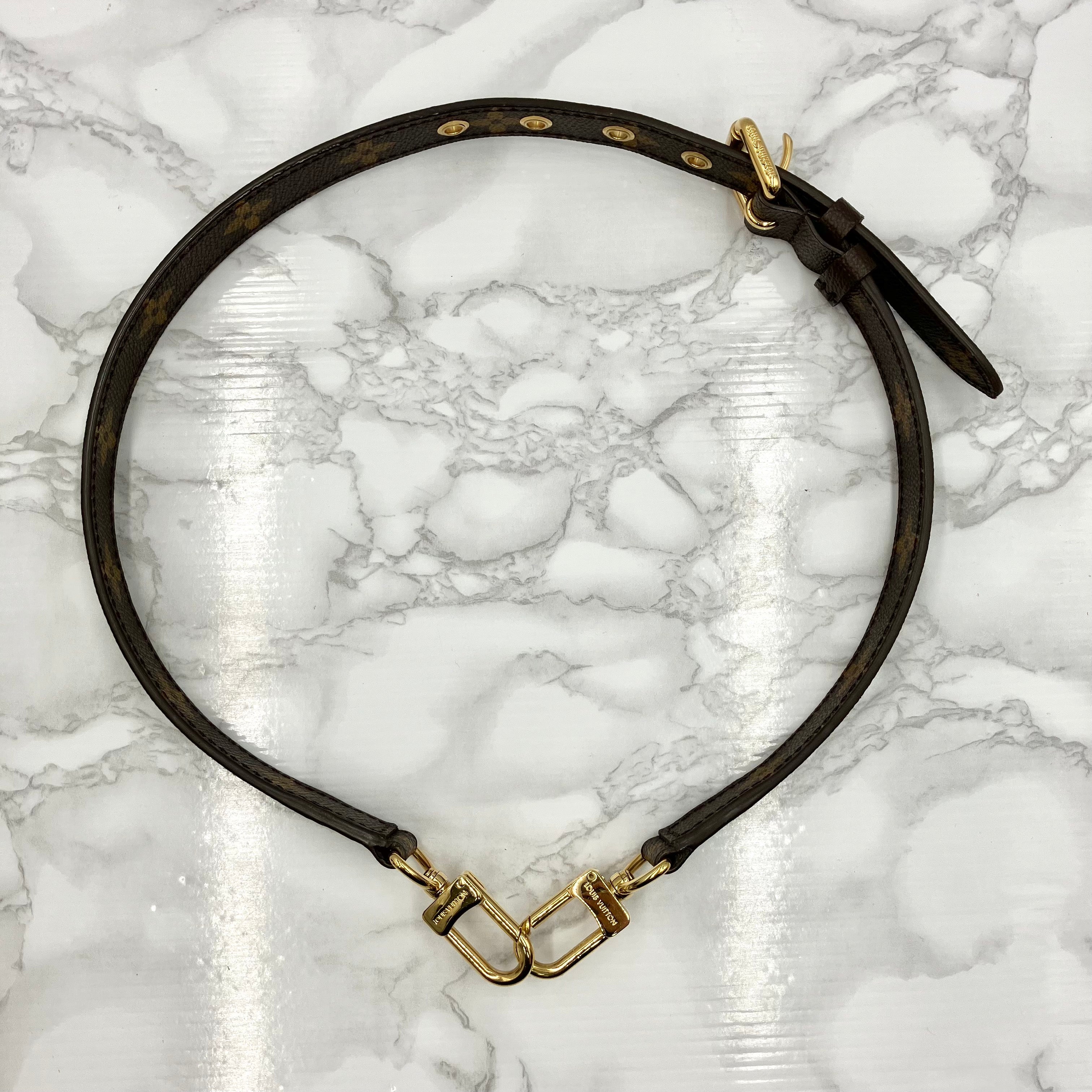 LOUIS VUITTON Monogram Eden PM