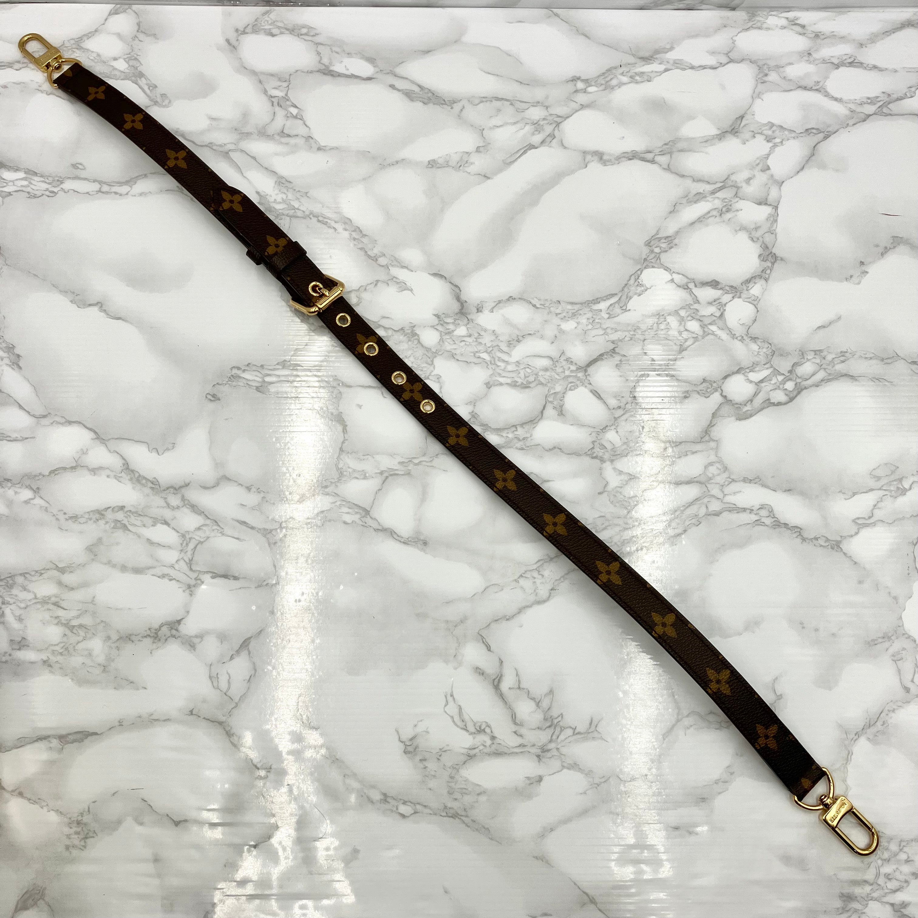 LOUIS VUITTON Monogram Eden PM