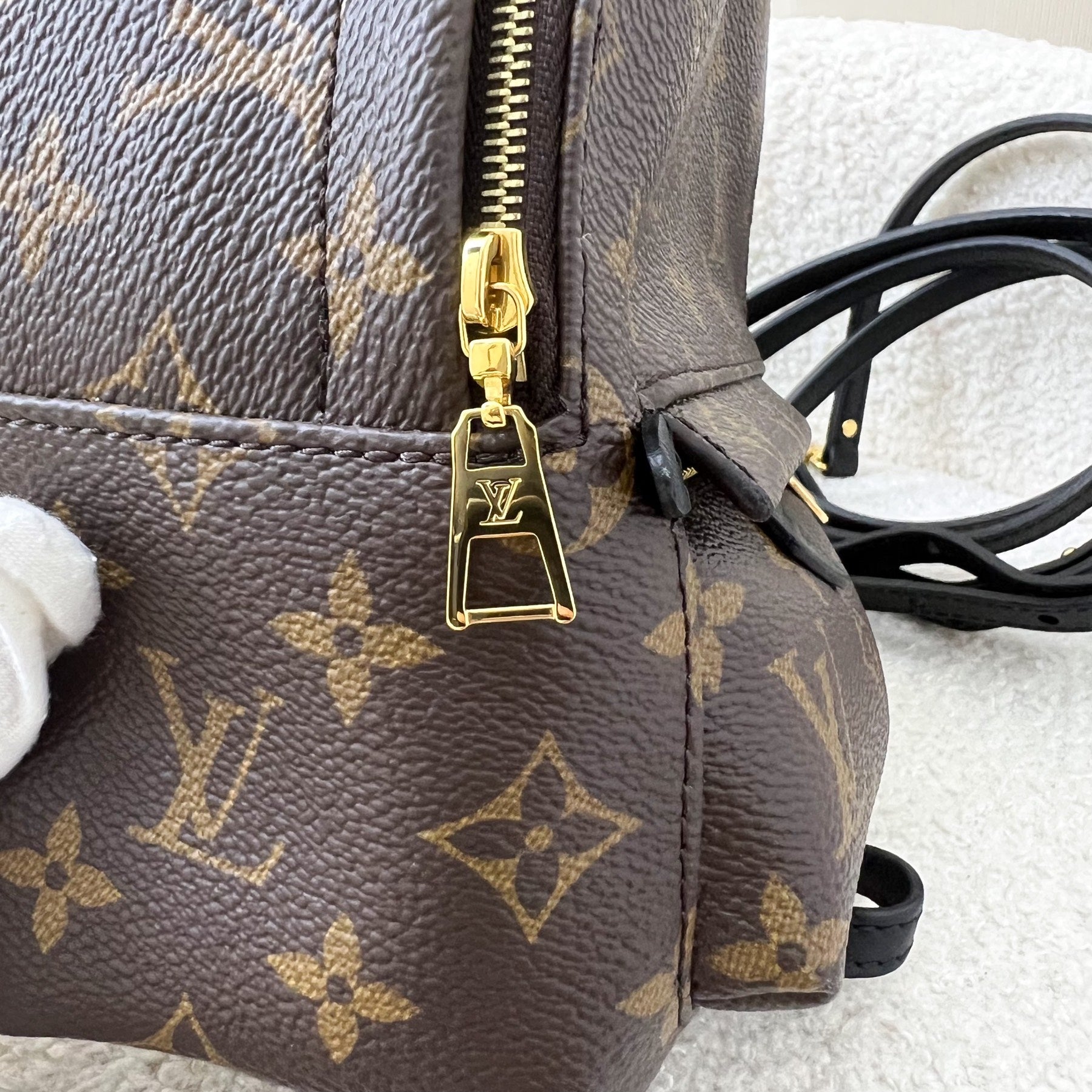 LV Palm Springs Mini Backpack in Monogram Canvas GHW