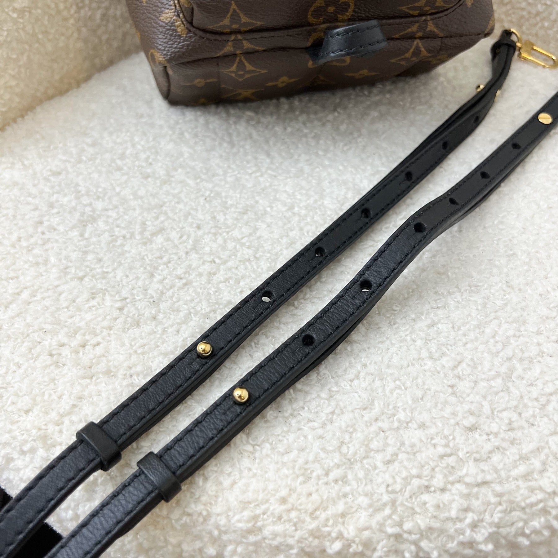 LV Palm Springs Mini Backpack in Monogram Canvas GHW