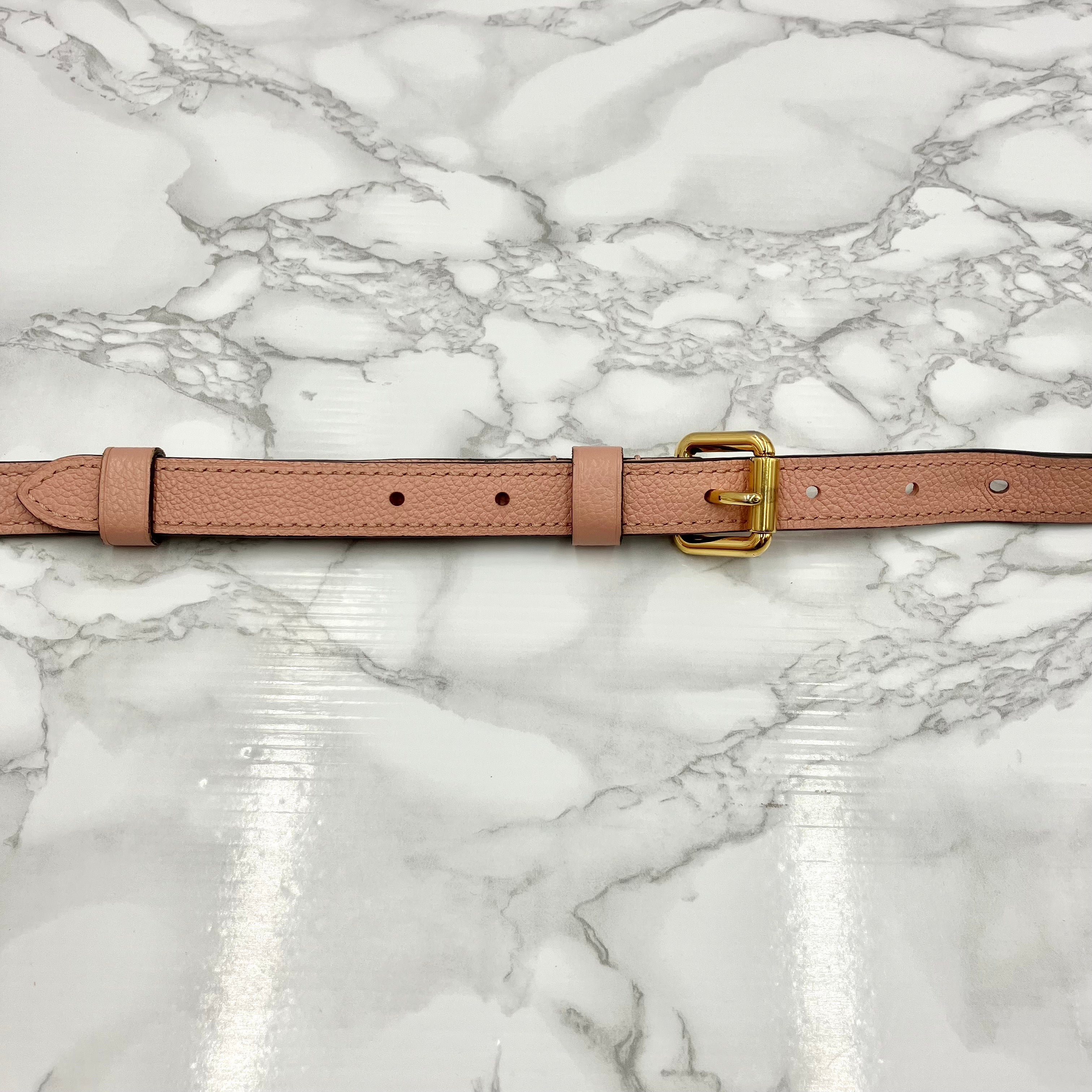 Louis Vuitton Amplant Pochette Metis