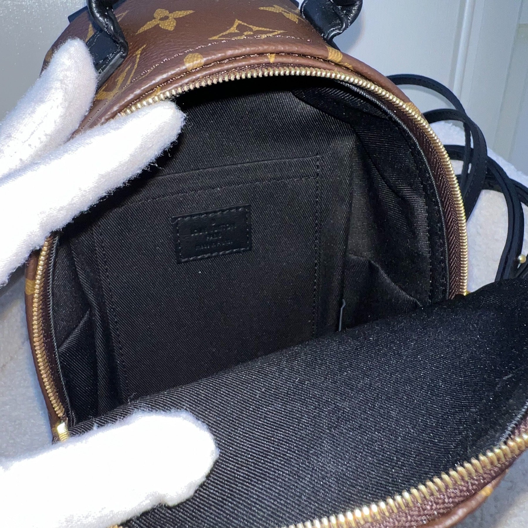 LV Palm Springs Mini Backpack (New Zip) in Monogram Canvas and GHW