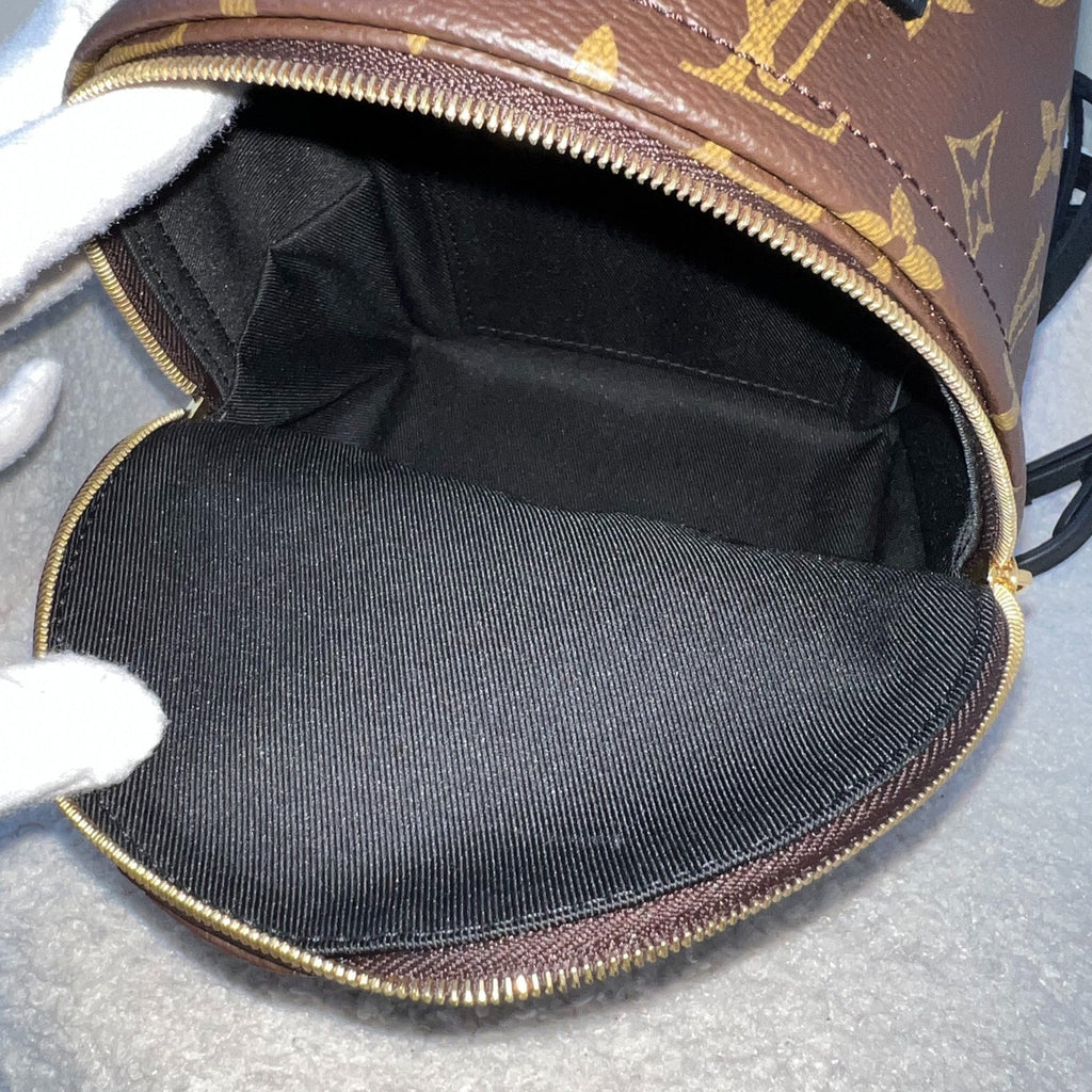 LV Palm Springs Mini Backpack (New Zip) in Monogram Canvas and GHW
