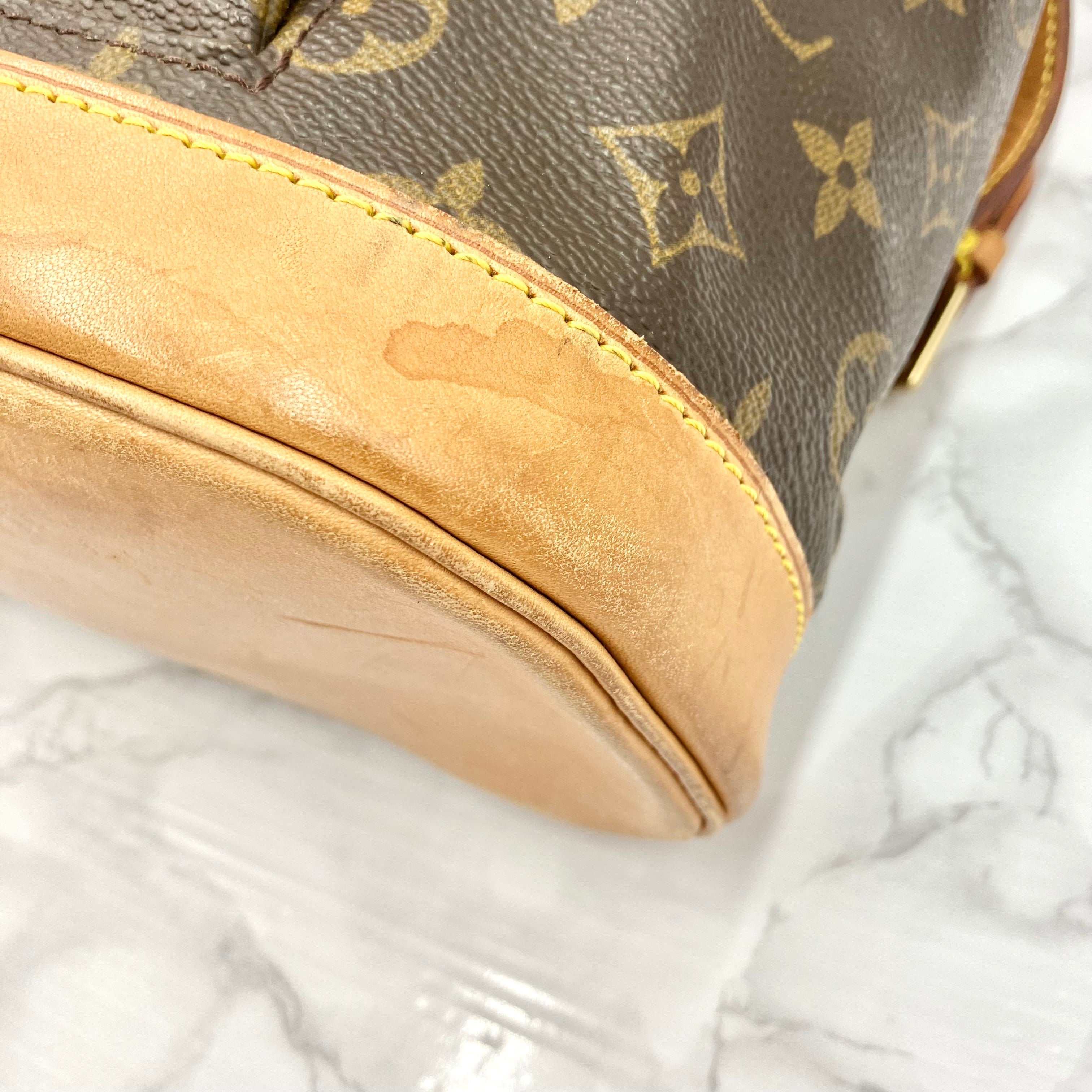 LOUIS VUITTON Monogram Monsri