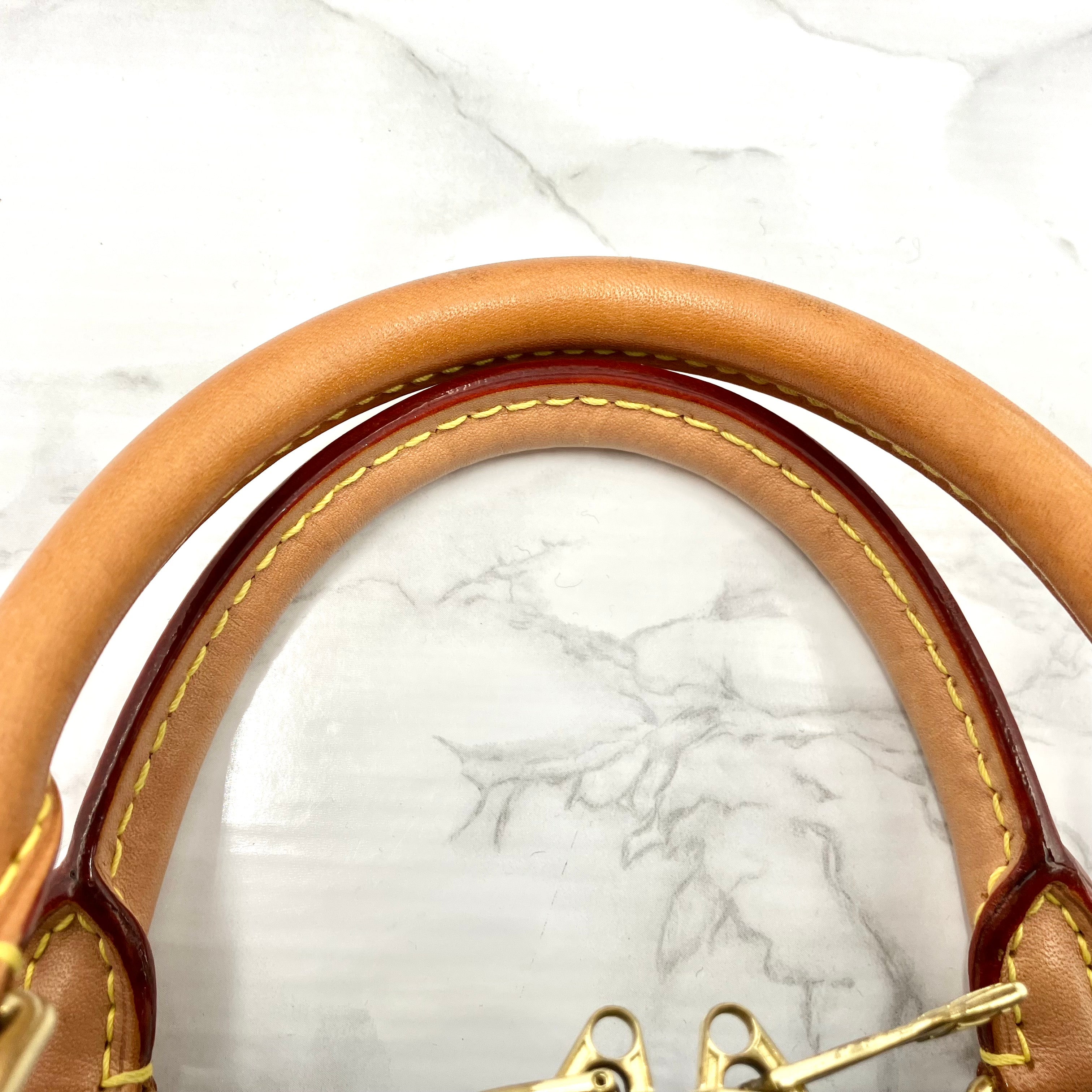 LOUIS VUITTON Speedy 30 Bandouliere