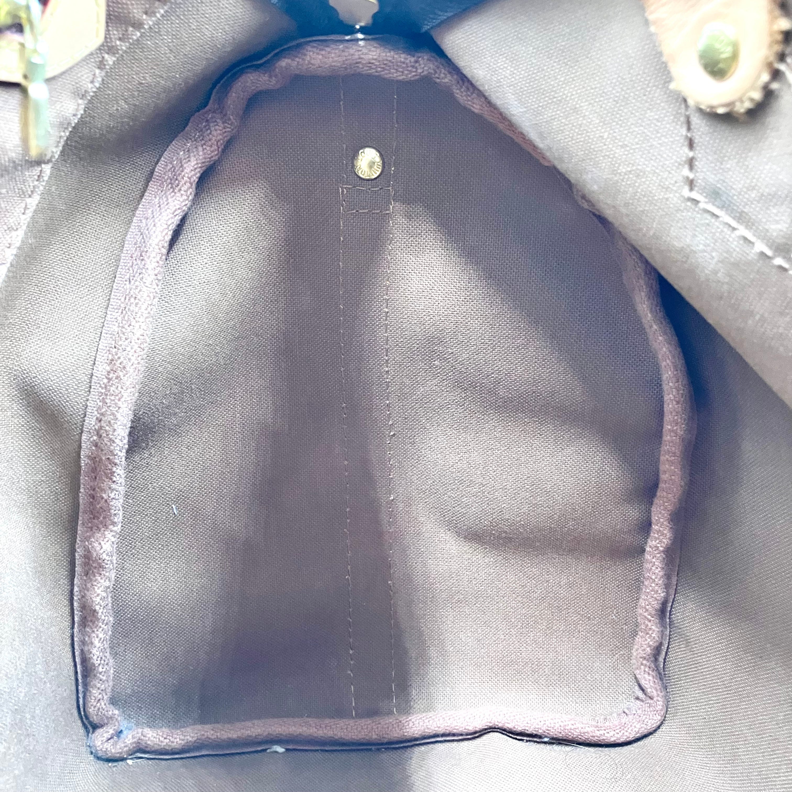 LOUIS VUITTON Speedy 30 Bandouliere