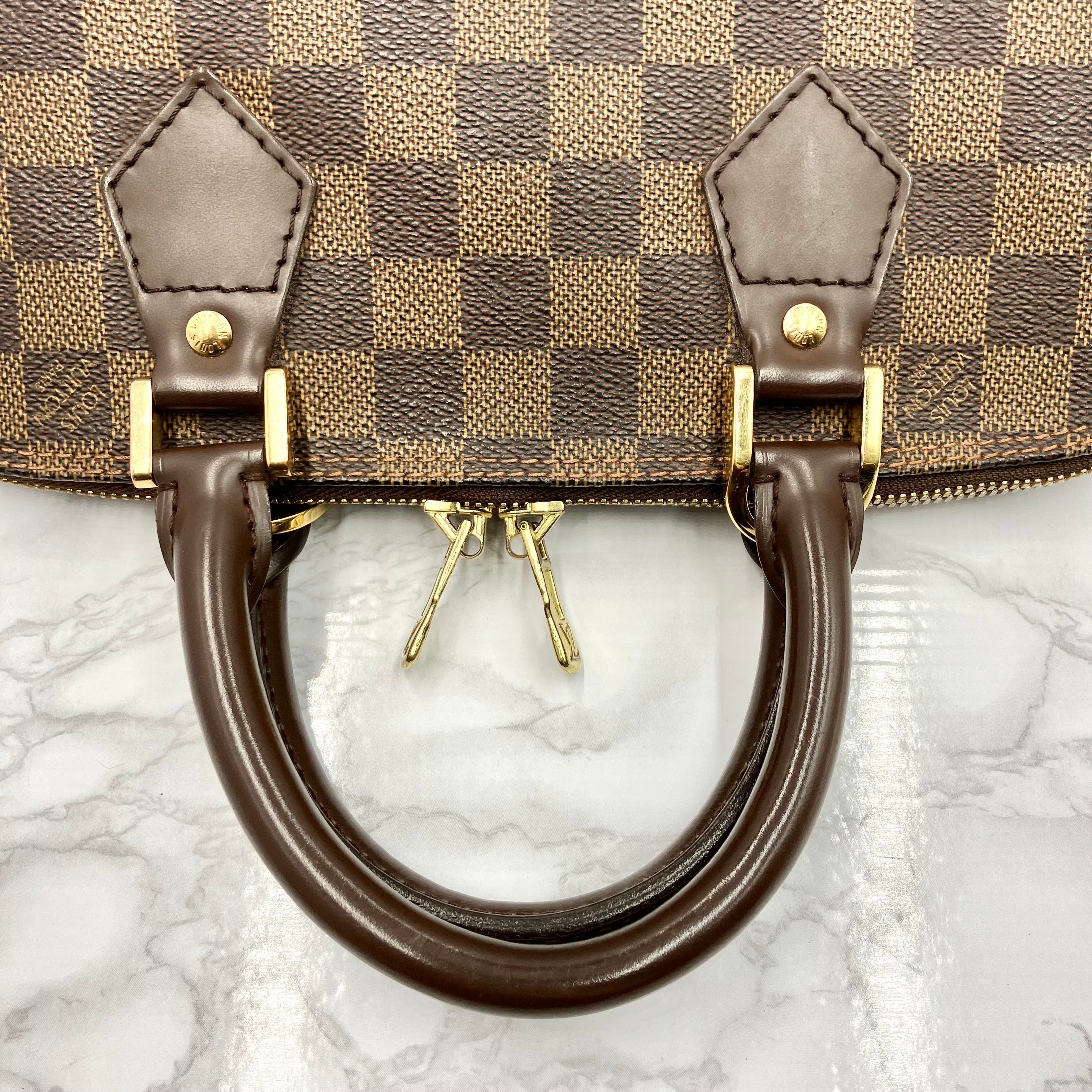LOUIS VUITTON Damier Alma PM