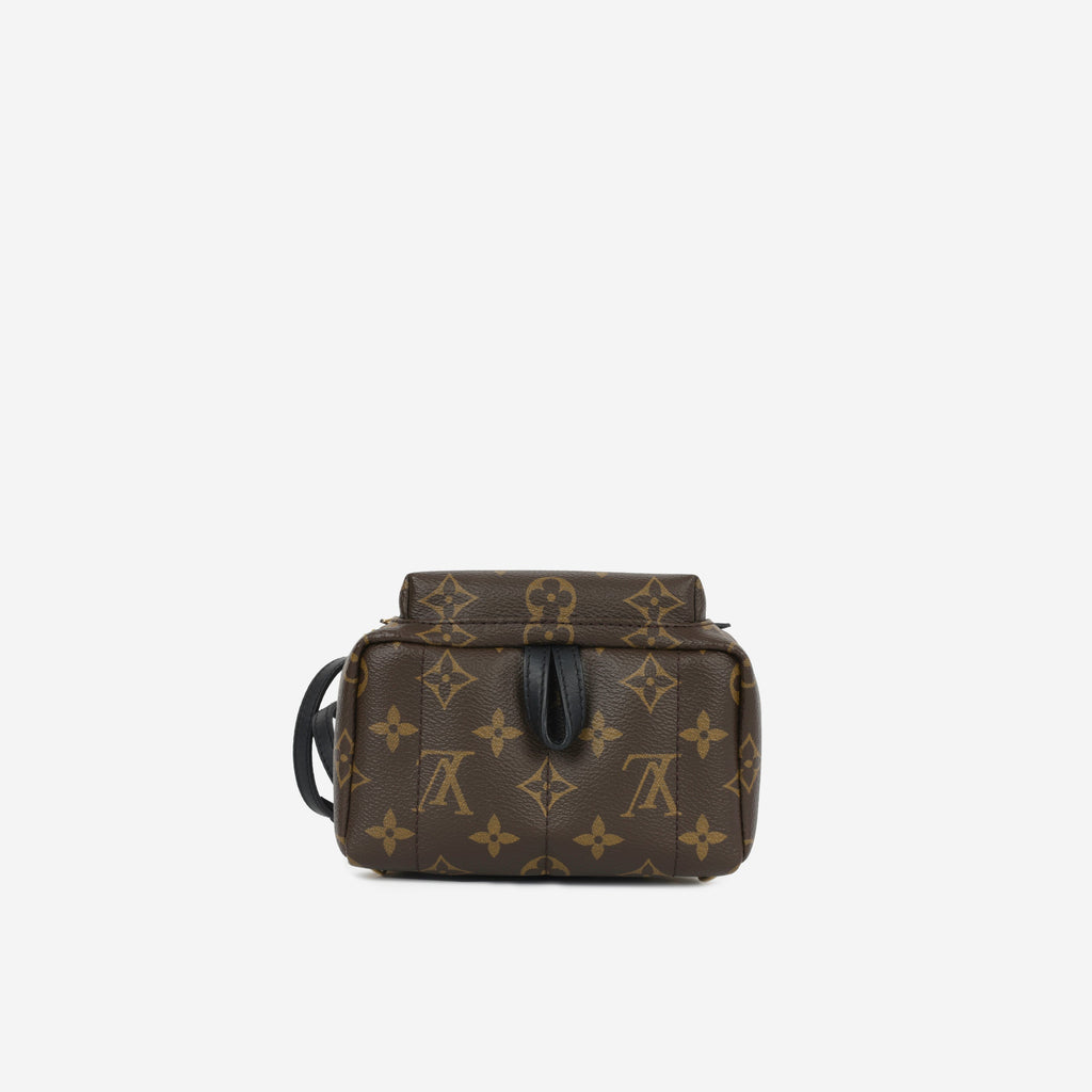 Louis Vuitton Mini Palm Springs - Monogram