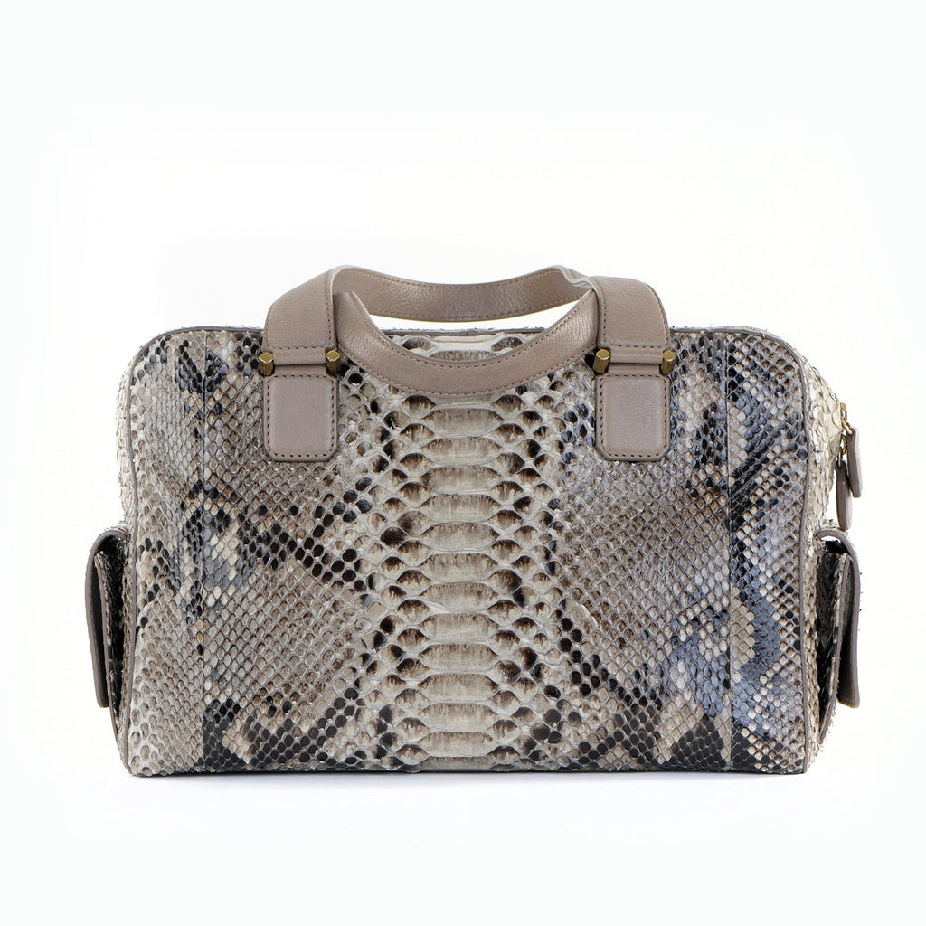 Catherine Snakeskin Box Satchel