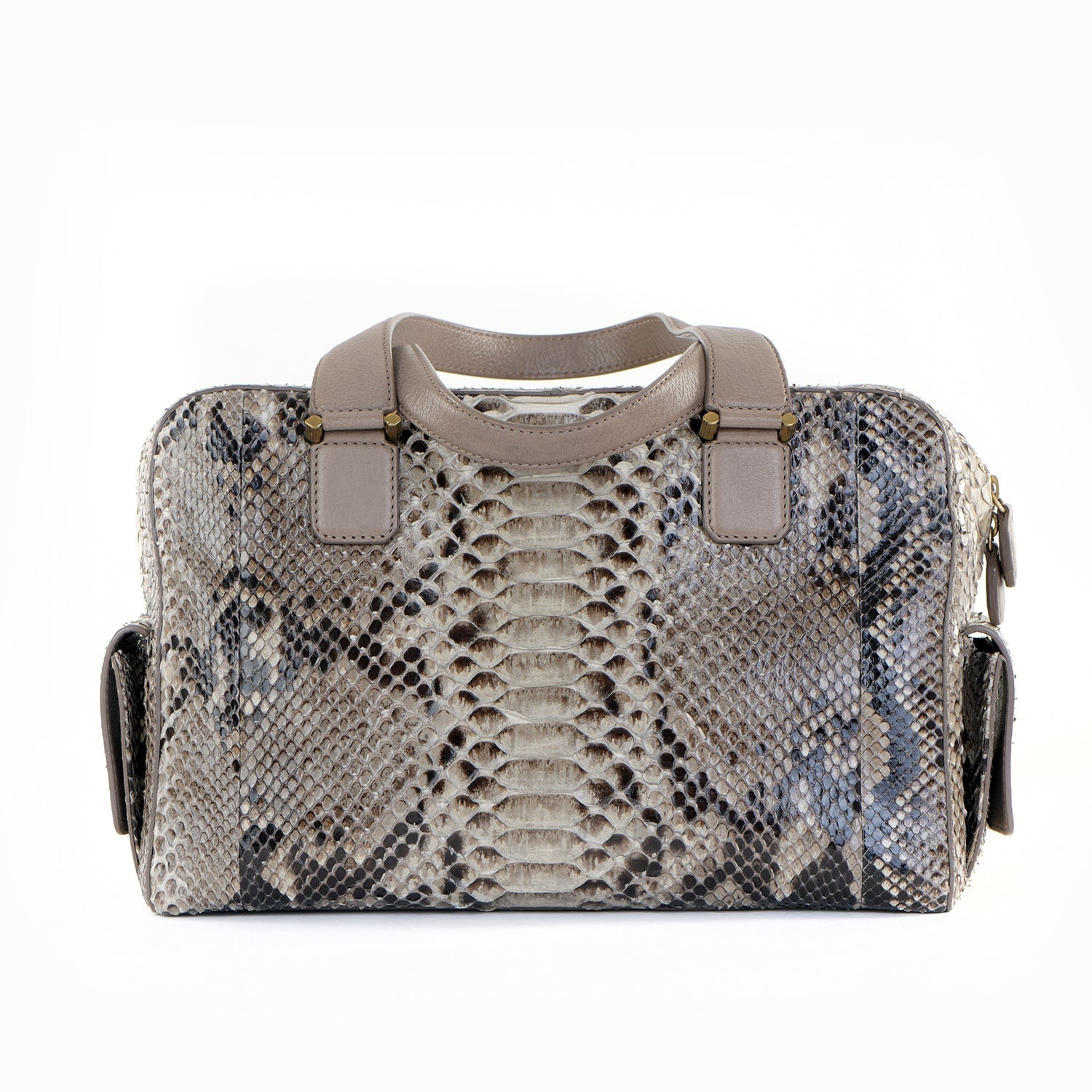 Catherine Snakeskin Box Satchel