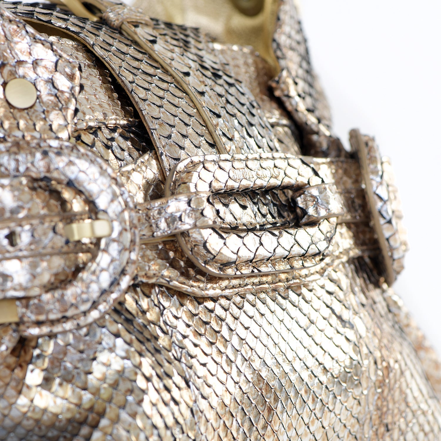 Tulita Metallic Snakeskin Bag