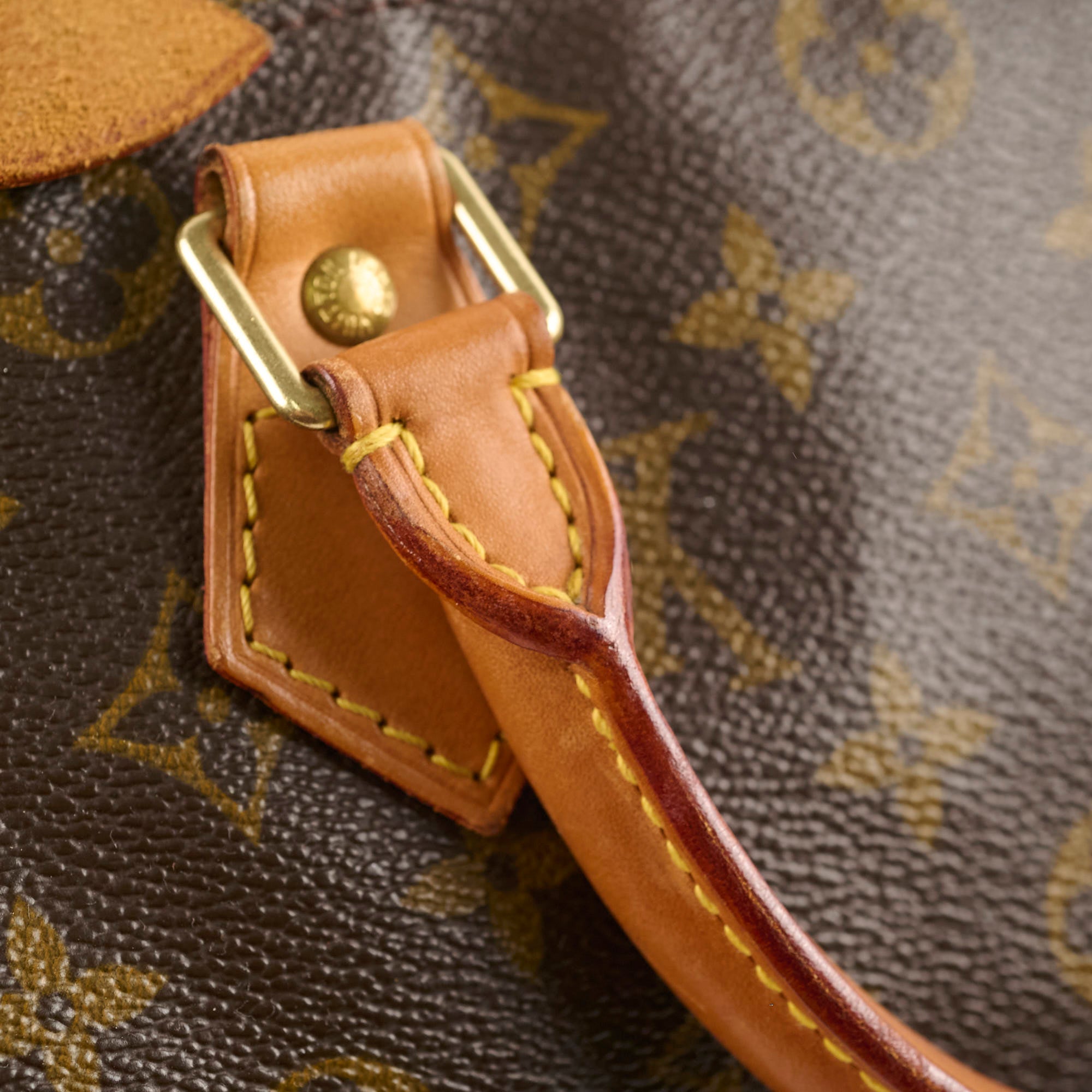 Louis Vuitton Speedy 30 Monogram