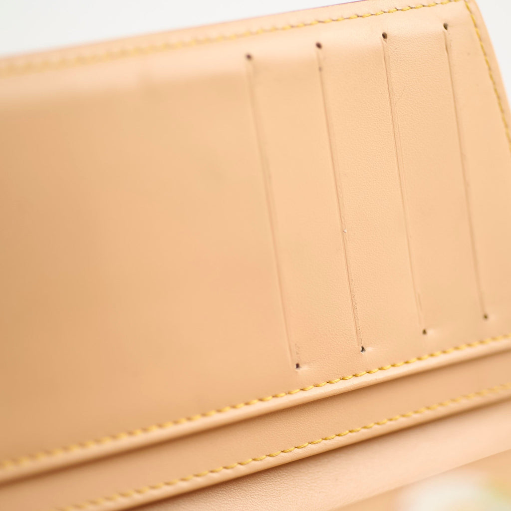 Louis Vuitton Multi Colour Purse Wallet