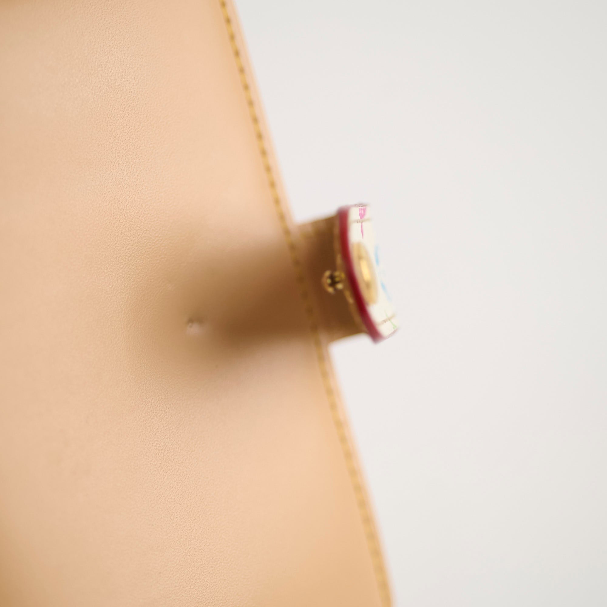 Louis Vuitton Multi Colour Purse Wallet