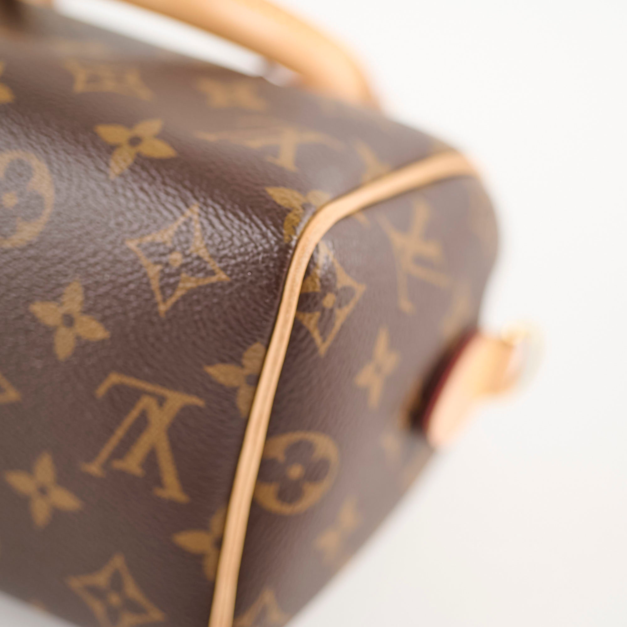 Louis Vuitton Speedy 20 Monogram