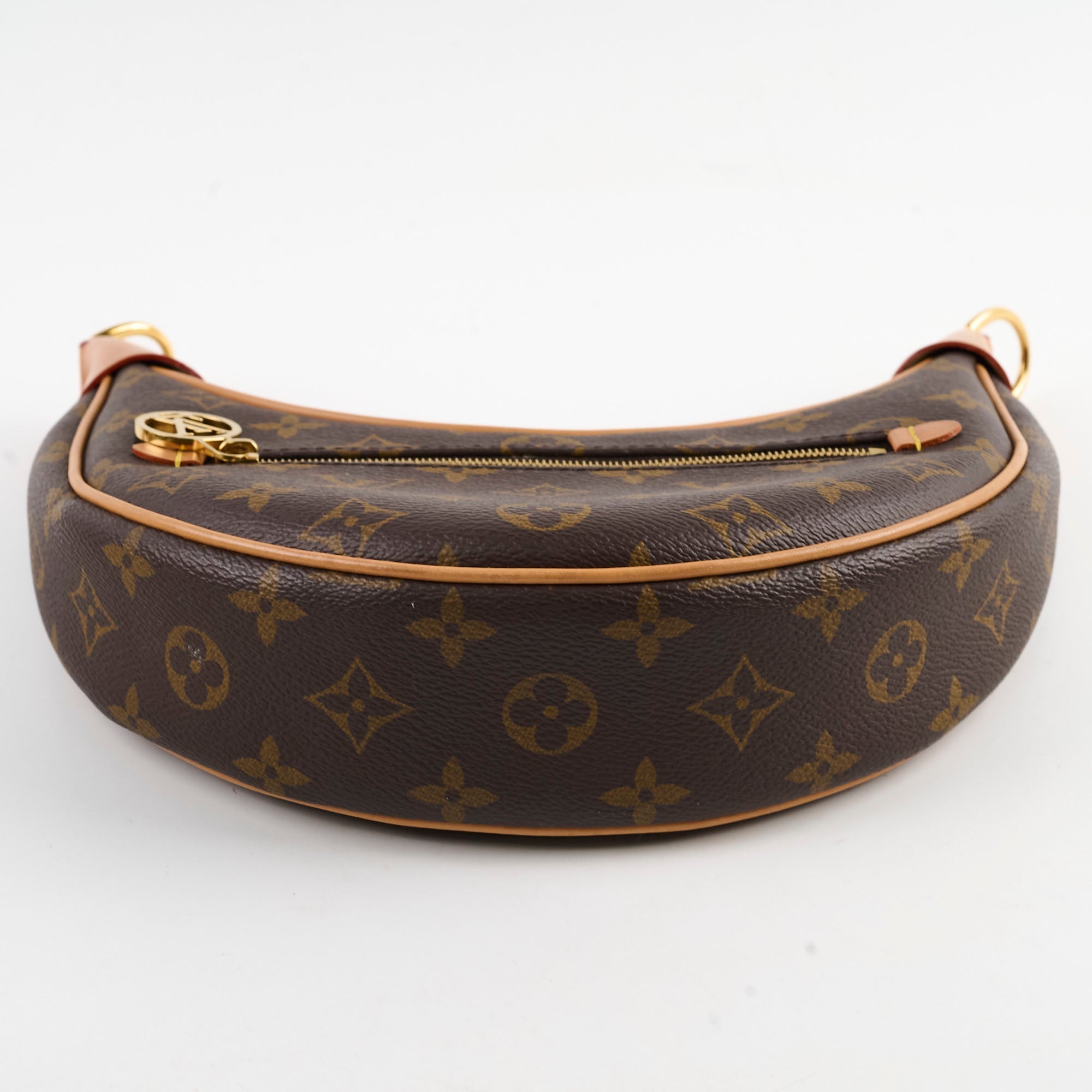 Louis Vuitton Loop Monogram