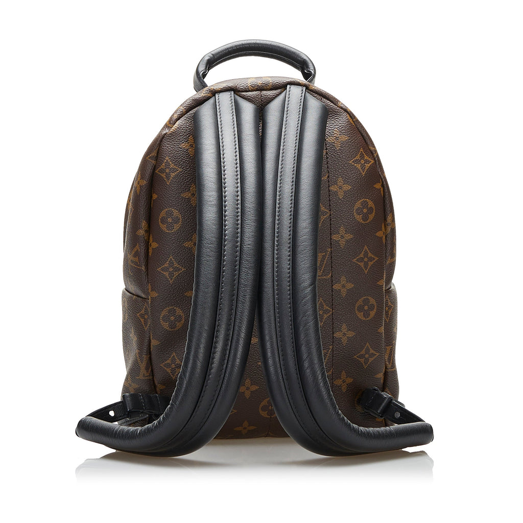 Louis Vuitton Palm Springs Backpack PM Monogram Reverse