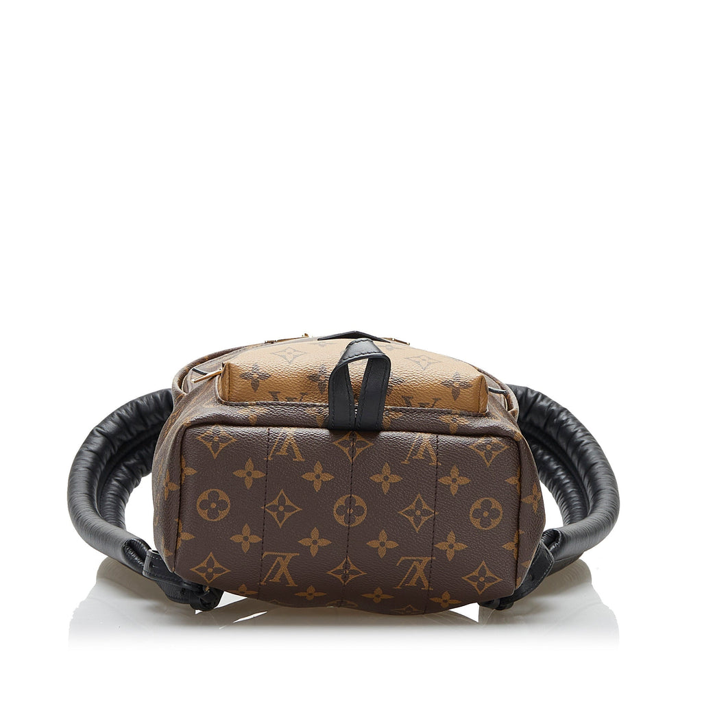 Louis Vuitton Palm Springs Backpack PM Monogram Reverse