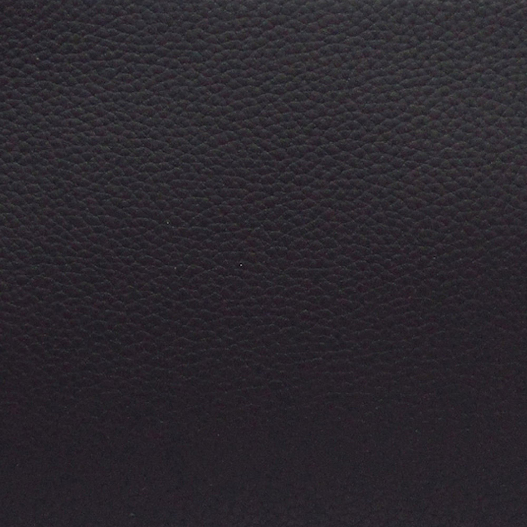 Louis Vuitton Alpha Wearable Wallet Black Calfskin