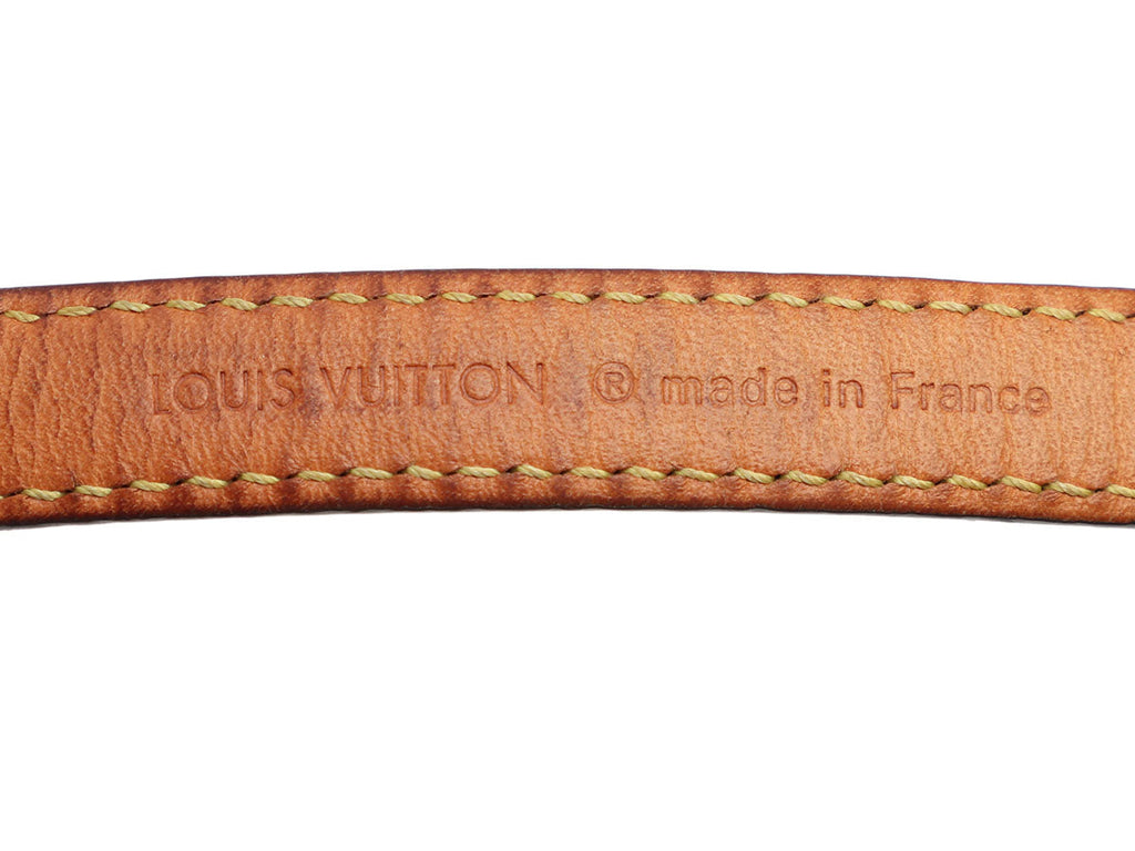 Louis Vuitton Monogram Baxter Dog Collar and Leash