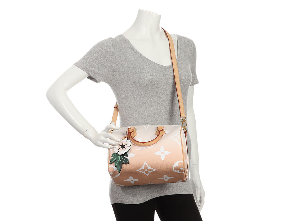 Louis Vuitton Monogram Giant Brume and Mist By The Pool Speedy BandouliÃ¨re 25