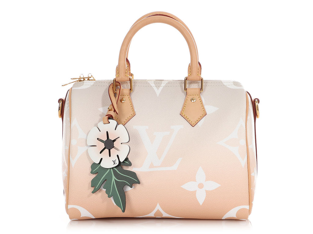 Louis Vuitton Monogram Giant Brume and Mist By The Pool Speedy BandouliÃ¨re 25