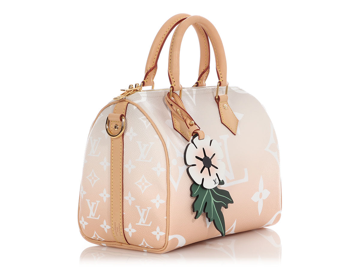 Louis Vuitton Monogram Giant Brume and Mist By The Pool Speedy BandouliÃ¨re 25