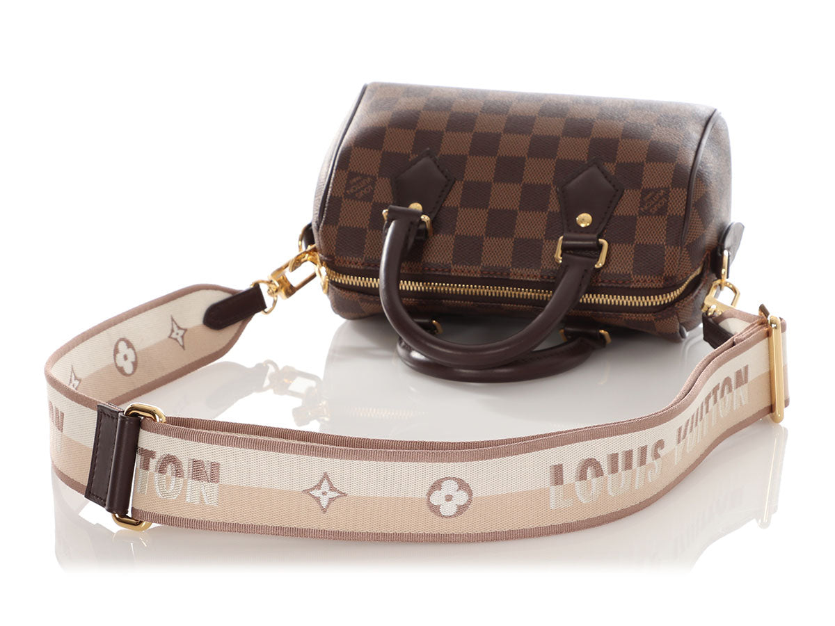 Louis Vuitton Damier EbÃ¨ne Speedy 20