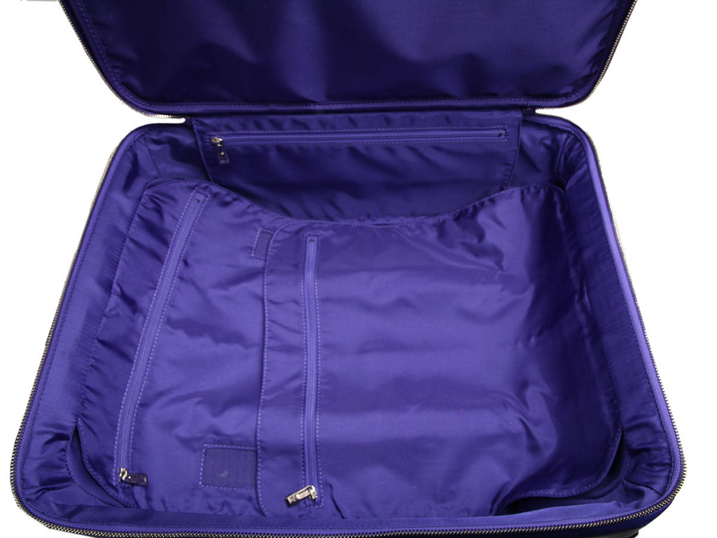 Louis Vuitton Figue Epi PÃ©gase Suitcase 45