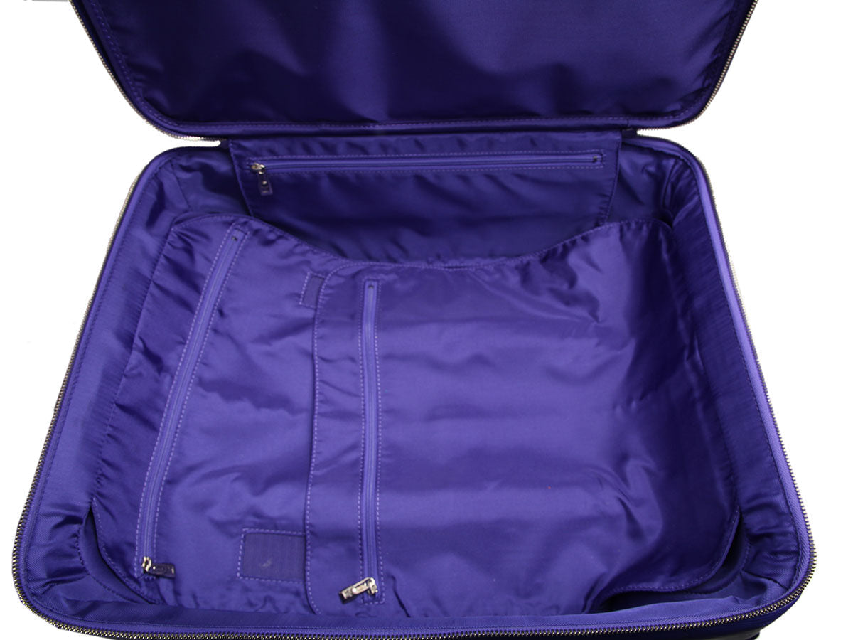 Louis Vuitton Figue Epi PÃ©gase Suitcase 45