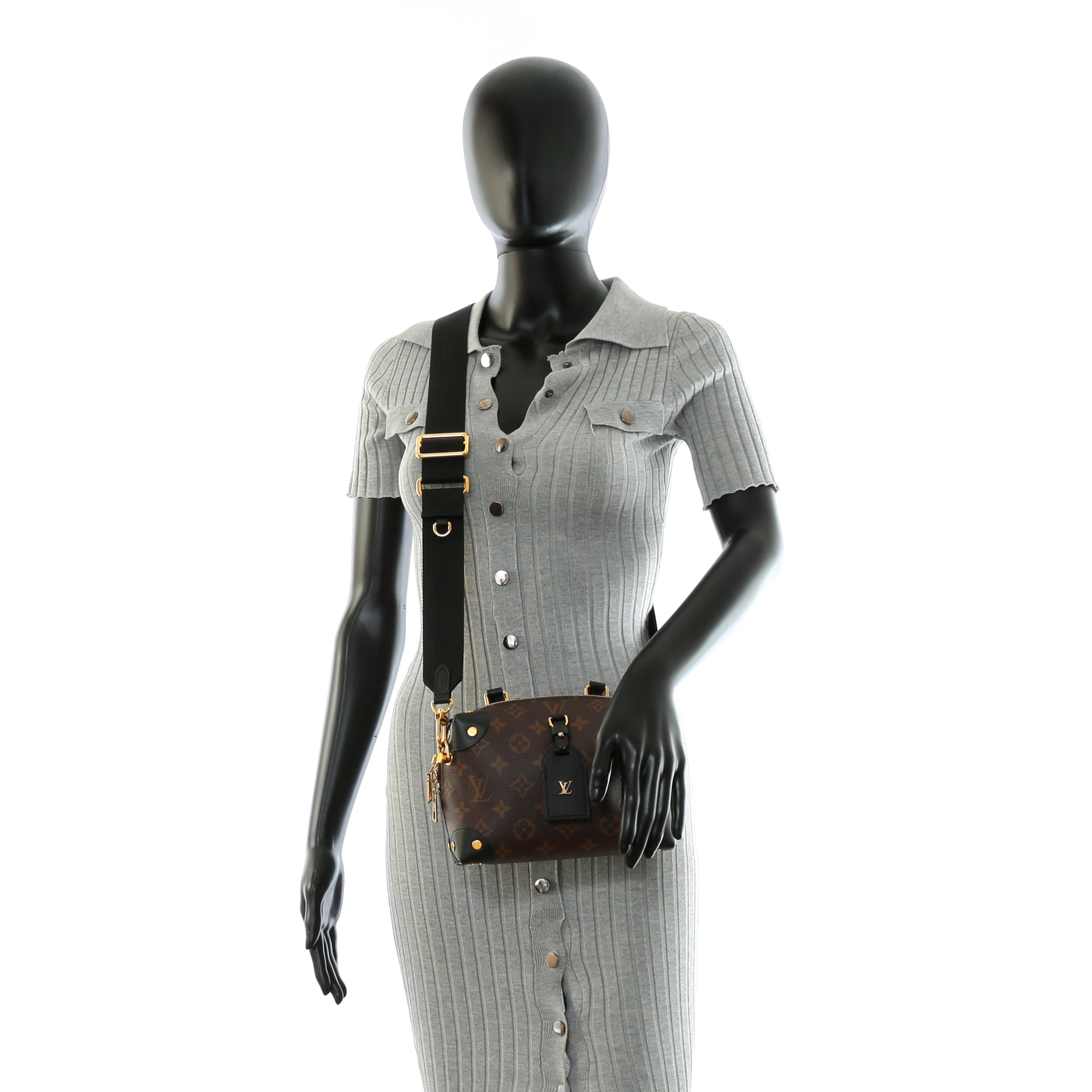 LOUIS VUITTON Monogram Petite Malle Souple