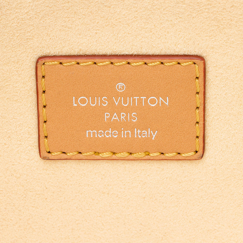 Louis Vuitton Monogram Leather Dauphine Pop MM Shoulder Bag