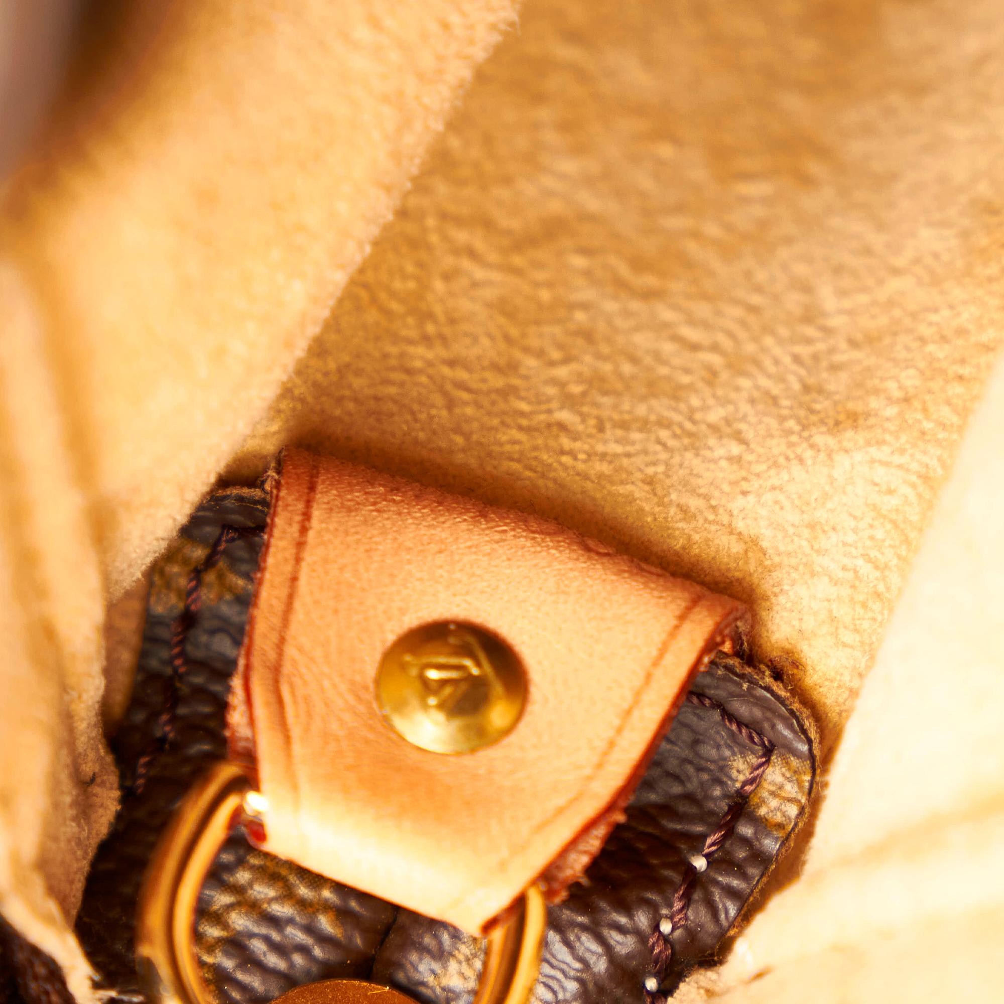 Louis Vuitton Monogram Looping GM