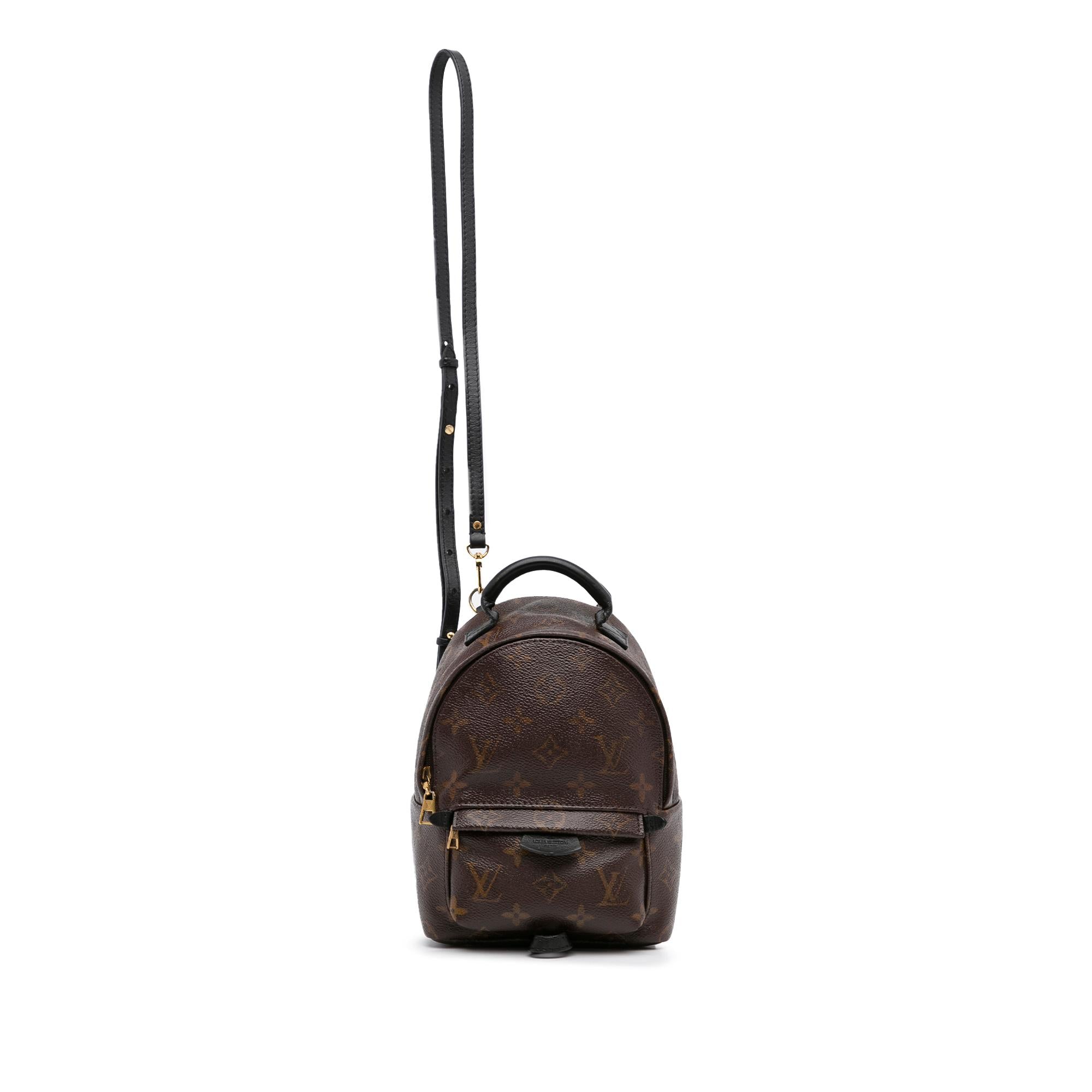 Louis Vuitton Monogram Palm Springs Mini (SHG-DldnMG)