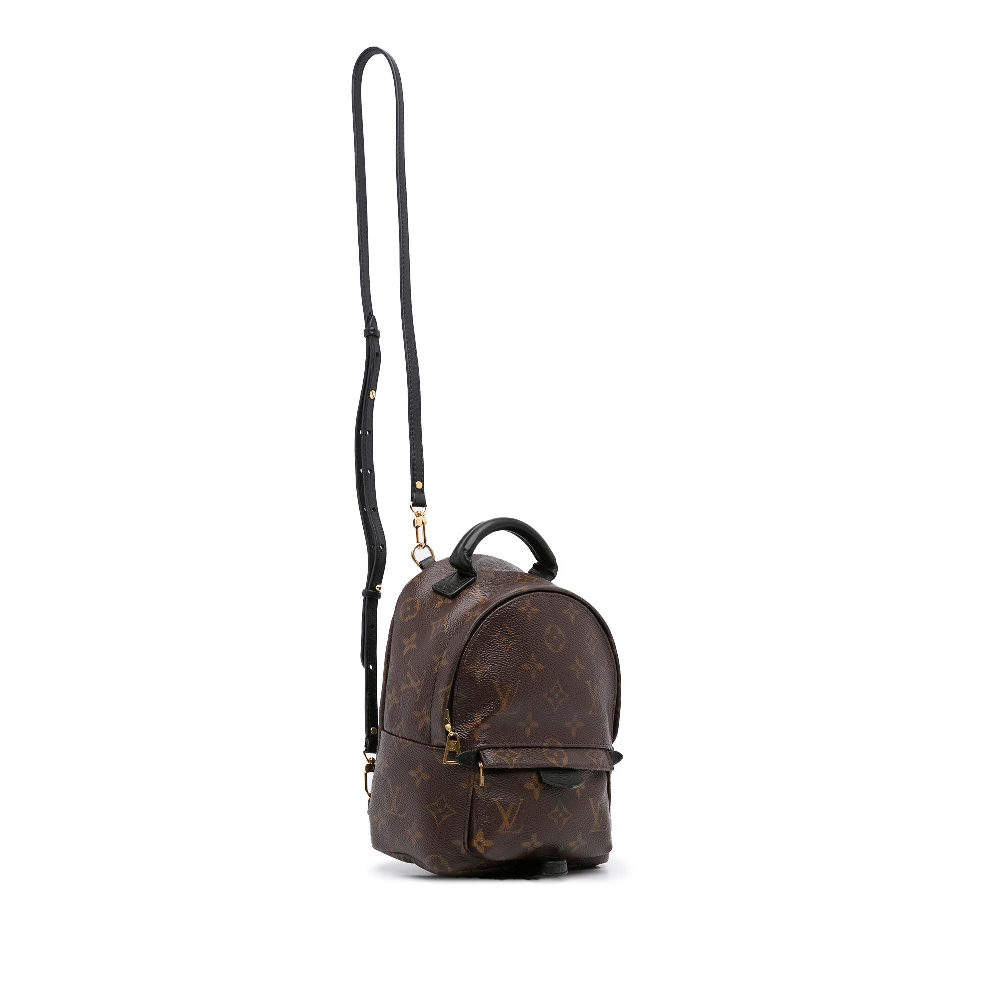 Louis Vuitton Monogram Palm Springs Mini (SHG-DldnMG)