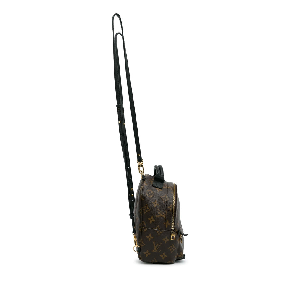 Louis Vuitton Monogram Palm Springs Mini (SHG-RO8kOH)