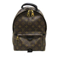 Louis Vuitton Monogram Palm Springs PM (SHG-Nyf1CL)