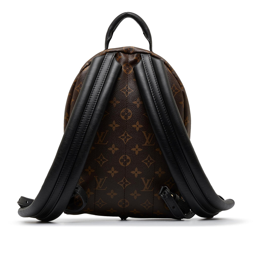 Louis Vuitton Monogram Reverse Palm Springs PM (SHG-SEIfT1)