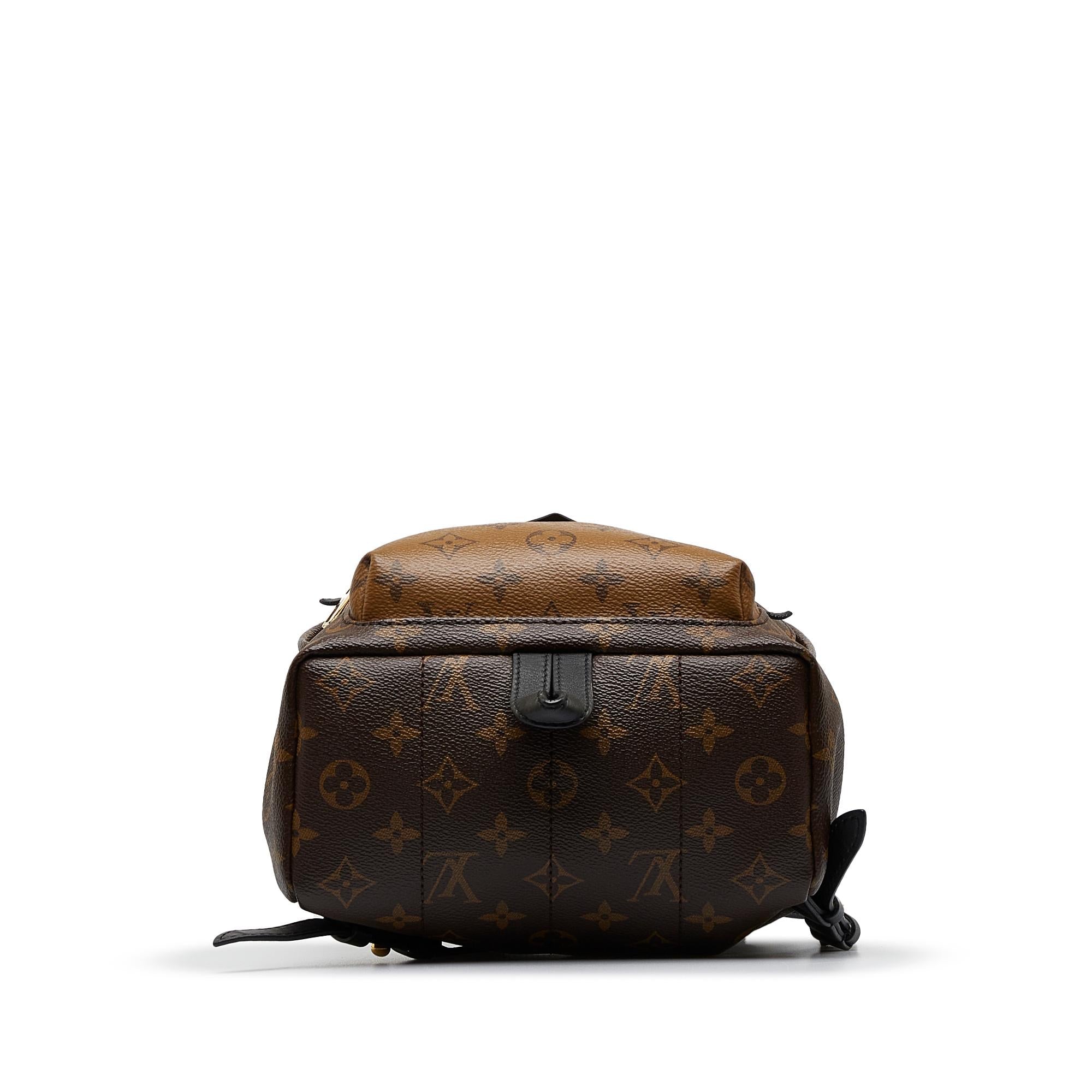Louis Vuitton Monogram Reverse Palm Springs PM (SHG-SEIfT1)