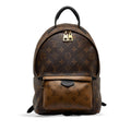 Louis Vuitton Monogram Reverse Palm Springs PM (SHG-SEIfT1)
