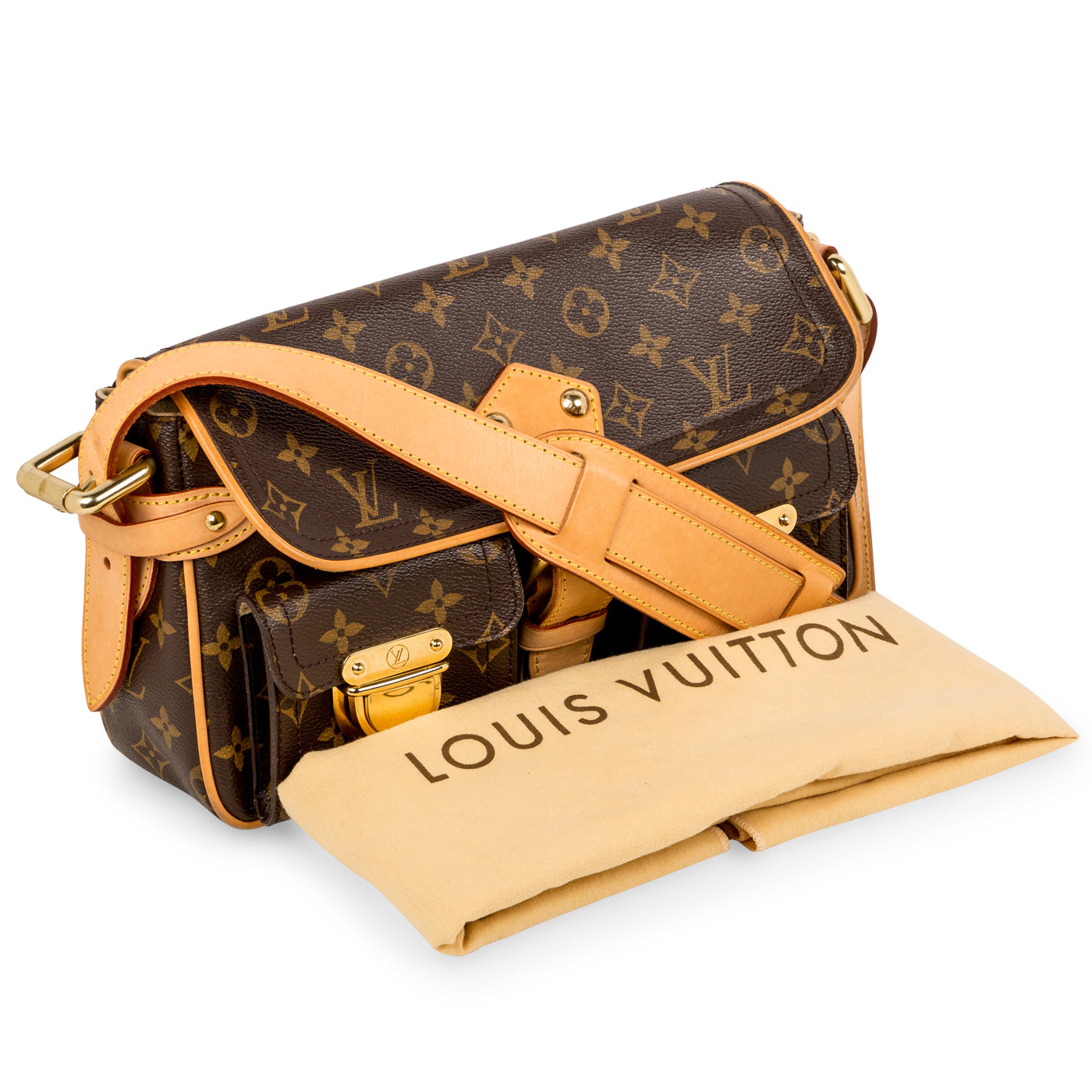 Louis Vuitton Hudson PM - Monogram Canvas
