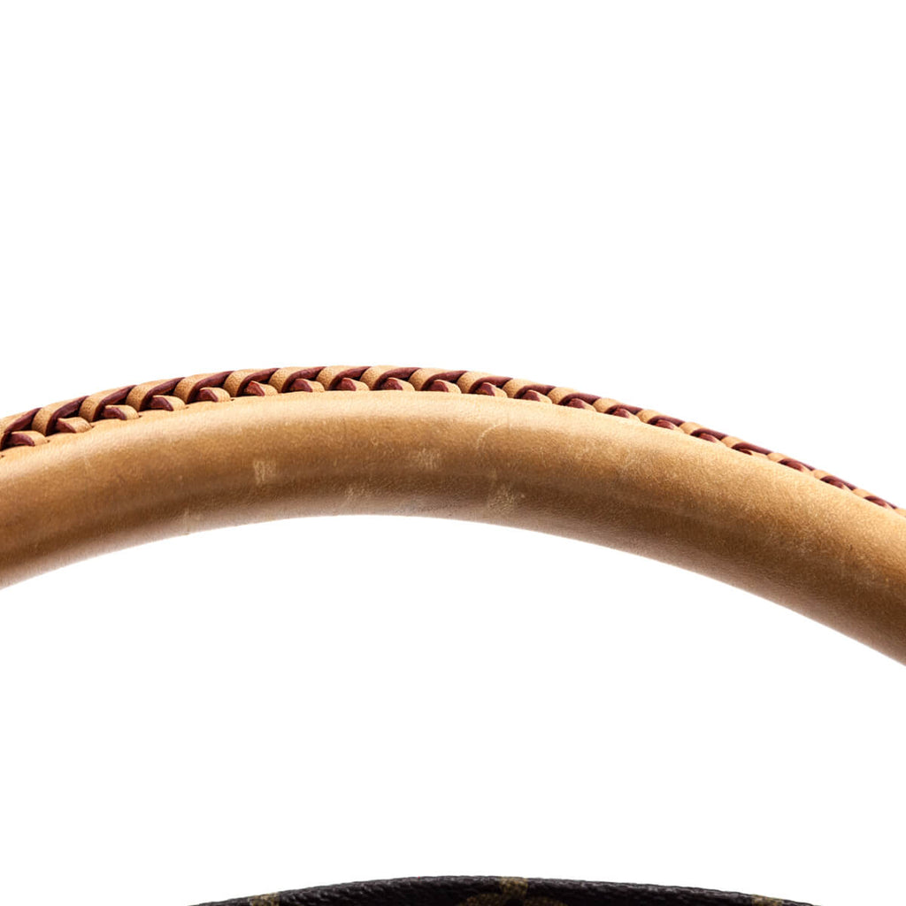 Louis Vuitton Monogram Artsy MM