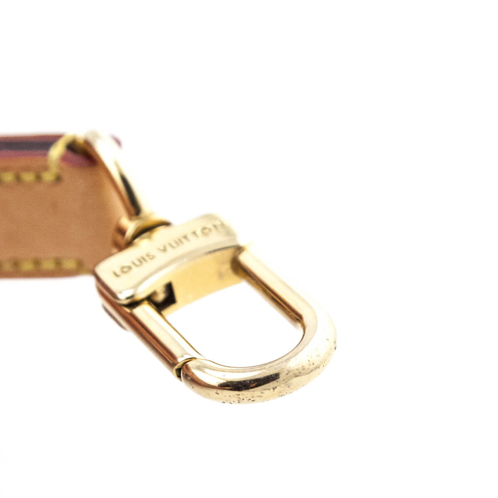 Louis Vuitton Monogram Dog Leash MM