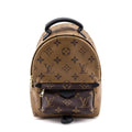 Louis Vuitton Reverse Monogram Mini Palm Springs Backpack