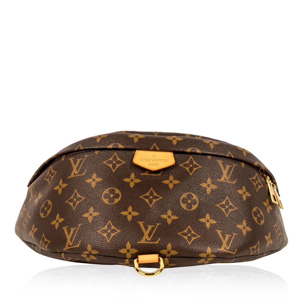 Louis Vuitton Bumbag - Monogram Canvas