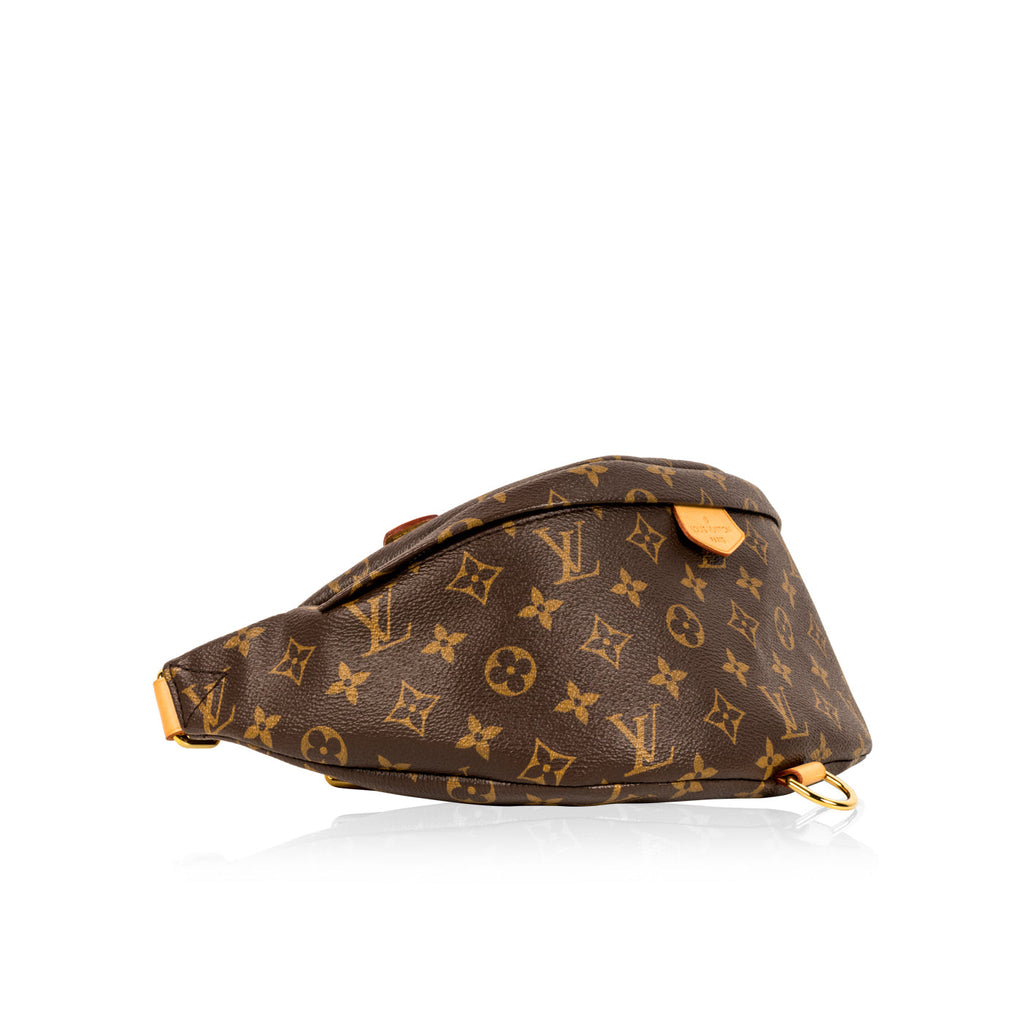 Louis Vuitton Bumbag - Monogram Canvas