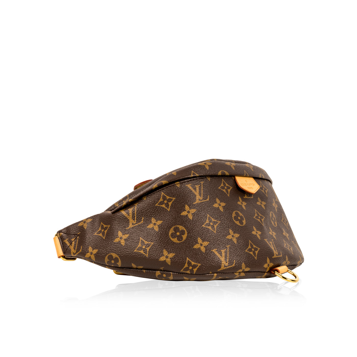 Louis Vuitton Bumbag - Monogram Canvas