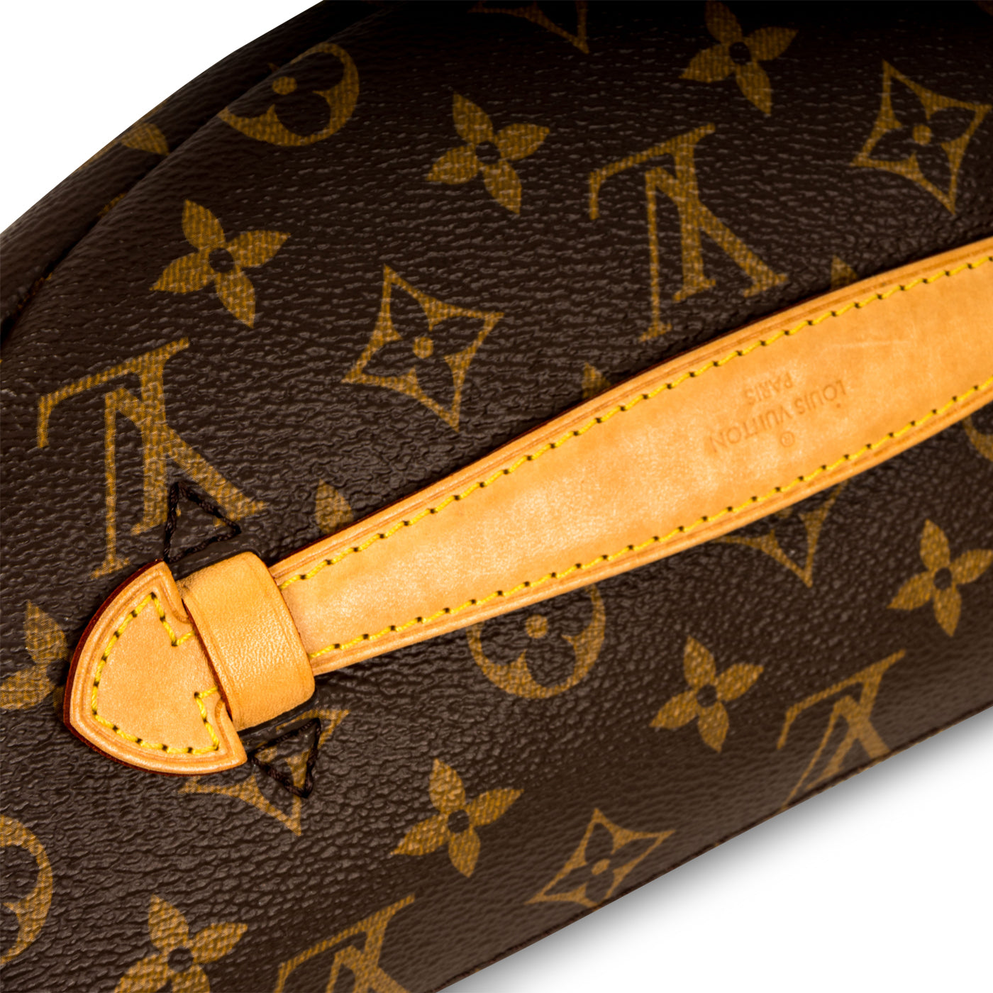 Louis Vuitton Bumbag - Monogram Canvas