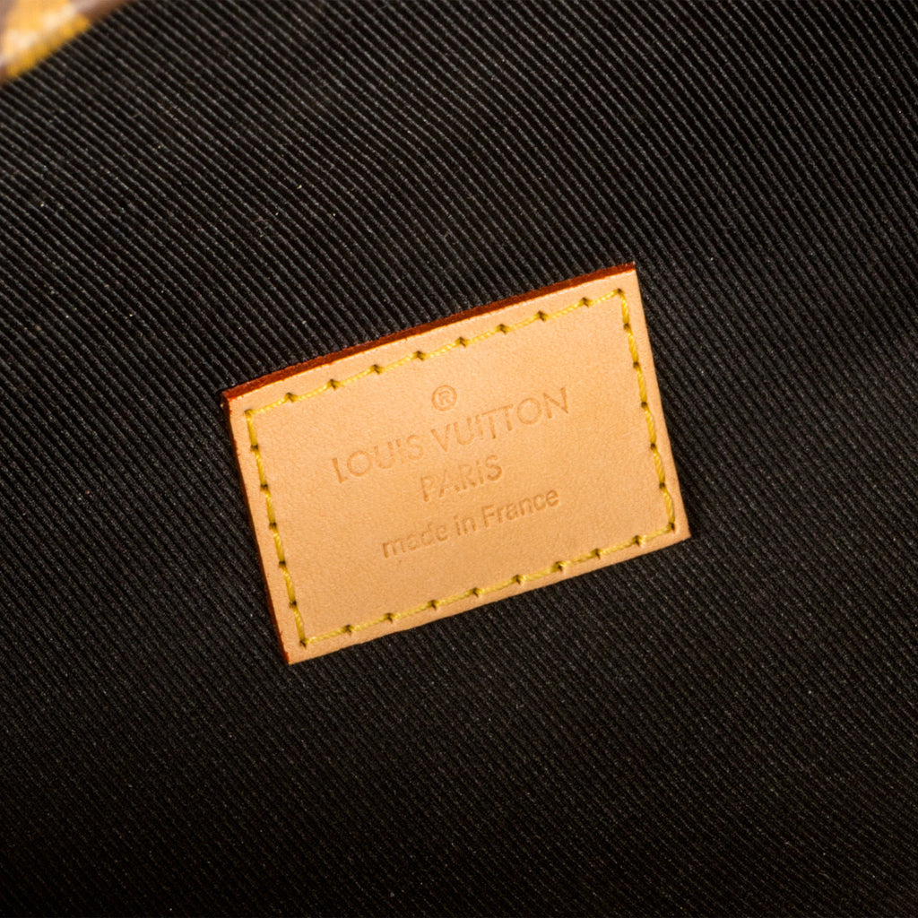 Louis Vuitton Bumbag - Monogram Canvas